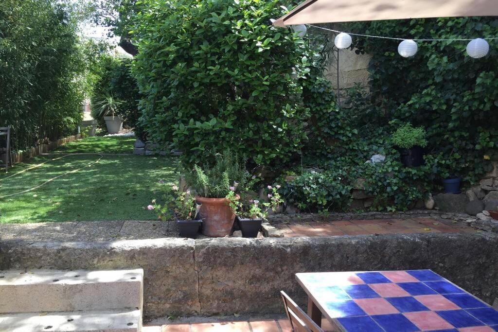 La Cassirene - Maisonnette Centre Cassis - Jardin Bagian luar foto